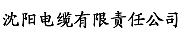 暗黑破坏神4游戏攻略电缆厂logo